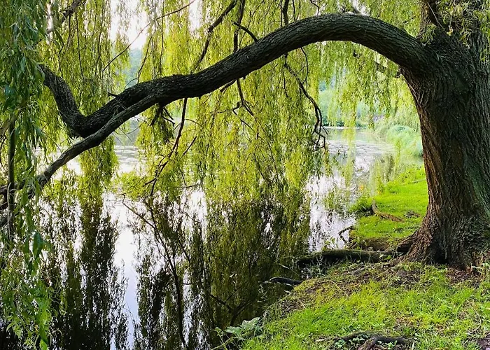 Gemuetliche Bad Schwartau