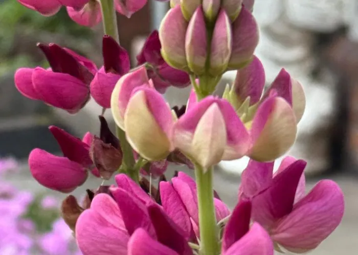 Appartamento Gemuetliche